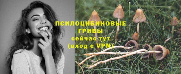трава Алзамай