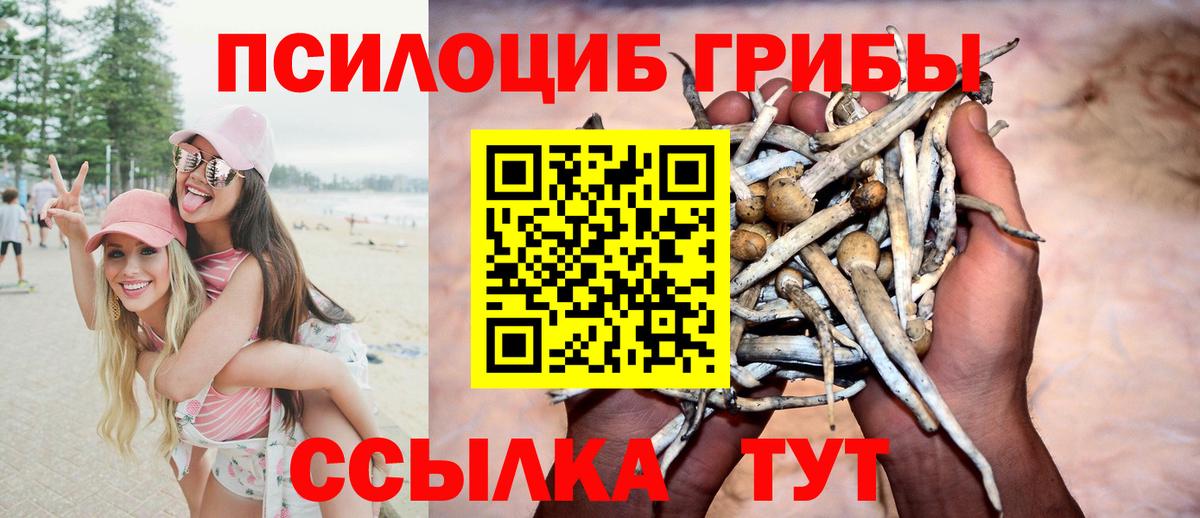 Псилоцибиновые грибы мухоморы Рязань